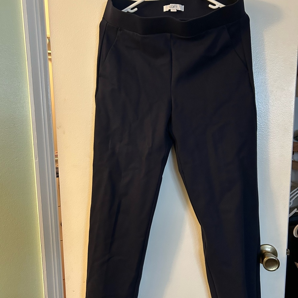 LOFT Women's Dress Leggings Bundle
